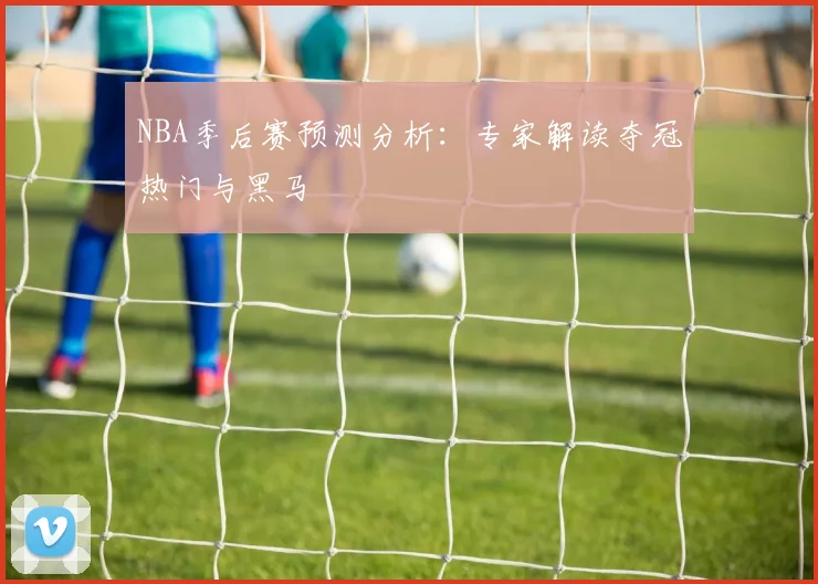 NBA季后赛预测分析：专家解读夺冠热门与黑马